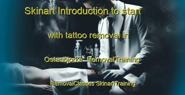 Skinart Introduction to start with tattoo removal in Ostanbjorka | #RemovalTraining #RemovalClasses #SkinartTraining-Sweden