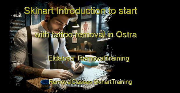 Skinart Introduction to start with tattoo removal in Ostra Eldslosa | #RemovalTraining #RemovalClasses #SkinartTraining-Sweden