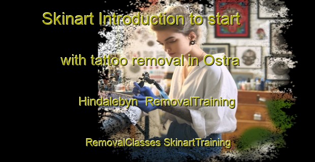 Skinart Introduction to start with tattoo removal in Ostra Hindalebyn | #RemovalTraining #RemovalClasses #SkinartTraining-Sweden