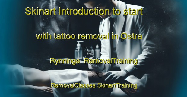 Skinart Introduction to start with tattoo removal in Ostra Rynninge | #RemovalTraining #RemovalClasses #SkinartTraining-Sweden