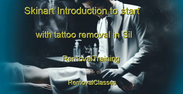 Skinart Introduction to start with tattoo removal in Sil | RemovalTraining | RemovalClasses | SkinartTraining-Sweden