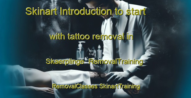 Skinart Introduction to start with tattoo removal in Skaerplinge | #RemovalTraining #RemovalClasses #SkinartTraining-Sweden