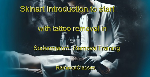Skinart Introduction to start with tattoo removal in Sodermarum | RemovalTraining | RemovalClasses | SkinartTraining-Sweden