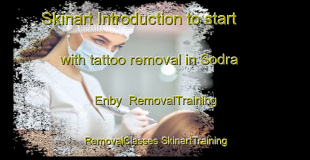 Skinart Introduction to start with tattoo removal in Sodra Enby | #RemovalTraining #RemovalClasses #SkinartTraining-Sweden