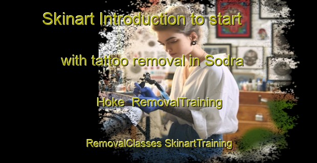 Skinart Introduction to start with tattoo removal in Sodra Hoke | #RemovalTraining #RemovalClasses #SkinartTraining-Sweden