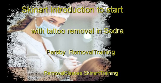 Skinart Introduction to start with tattoo removal in Sodra Persby | #RemovalTraining #RemovalClasses #SkinartTraining-Sweden