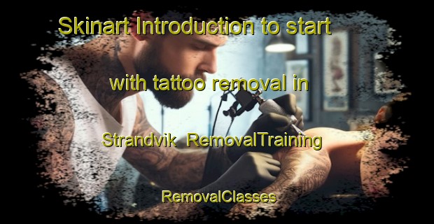 Skinart Introduction to start with tattoo removal in Strandvik | RemovalTraining | RemovalClasses | SkinartTraining-Sweden