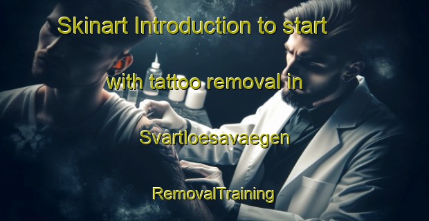 Skinart Introduction to start with tattoo removal in Svartloesavaegen | RemovalTraining | RemovalClasses | SkinartTraining-Sweden