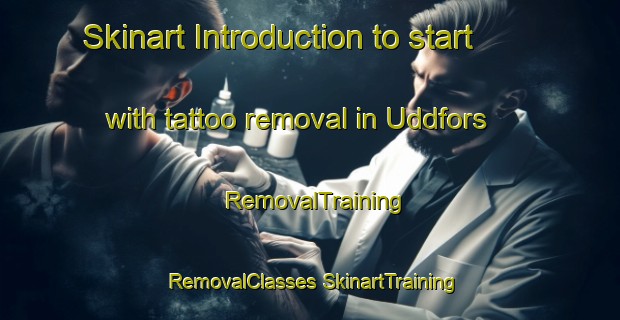 Skinart Introduction to start with tattoo removal in Uddfors | #RemovalTraining #RemovalClasses #SkinartTraining-Sweden