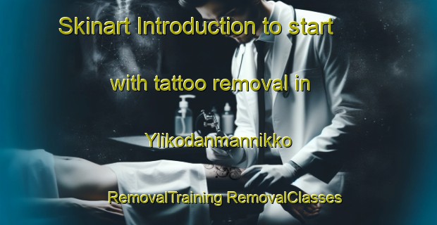 Skinart Introduction to start with tattoo removal in Ylikodanmannikko | #RemovalTraining #RemovalClasses #SkinartTraining-Sweden