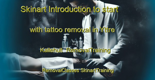 Skinart Introduction to start with tattoo removal in Yttre Kallehult | #RemovalTraining #RemovalClasses #SkinartTraining-Sweden