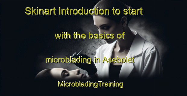 Skinart Introduction to start with the basics of microblading in Asebolet | MicrobladingTraining | MicrobladingClasses | SkinartTraining-Sweden