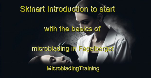 Skinart Introduction to start with the basics of microblading in Fagelberget | MicrobladingTraining | MicrobladingClasses | SkinartTraining-Sweden