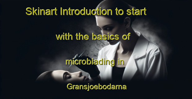 Skinart Introduction to start with the basics of microblading in Gransjoebodarna | MicrobladingTraining | MicrobladingClasses | SkinartTraining-Sweden