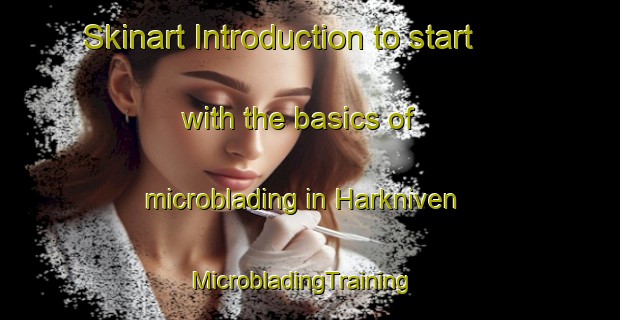 Skinart Introduction to start with the basics of microblading in Harkniven | MicrobladingTraining | MicrobladingClasses | SkinartTraining-Sweden