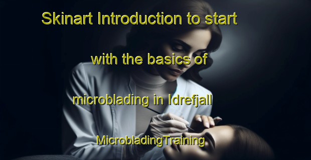 Skinart Introduction to start with the basics of microblading in Idrefjall | MicrobladingTraining | MicrobladingClasses | SkinartTraining-Sweden
