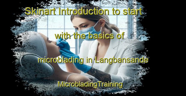 Skinart Introduction to start with the basics of microblading in Langbansande | MicrobladingTraining | MicrobladingClasses | SkinartTraining-Sweden
