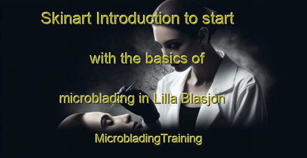 Skinart Introduction to start with the basics of microblading in Lilla Blasjon | MicrobladingTraining | MicrobladingClasses | SkinartTraining-Sweden