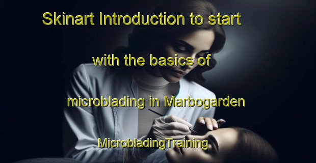 Skinart Introduction to start with the basics of microblading in Marbogarden | MicrobladingTraining | MicrobladingClasses | SkinartTraining-Sweden
