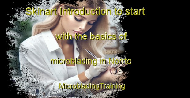 Skinart Introduction to start with the basics of microblading in Norrto | MicrobladingTraining | MicrobladingClasses | SkinartTraining-Sweden