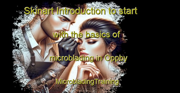 Skinart Introduction to start with the basics of microblading in Oppby | MicrobladingTraining | MicrobladingClasses | SkinartTraining-Sweden