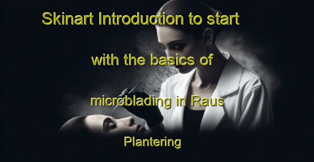 Skinart Introduction to start with the basics of microblading in Raus Plantering | MicrobladingTraining | MicrobladingClasses | SkinartTraining-Sweden