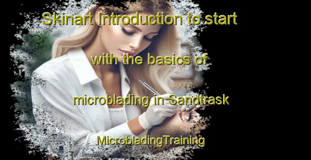 Skinart Introduction to start with the basics of microblading in Sandtrask | MicrobladingTraining | MicrobladingClasses | SkinartTraining-Sweden