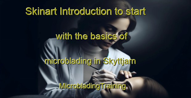 Skinart Introduction to start with the basics of microblading in Skyttjarn | MicrobladingTraining | MicrobladingClasses | SkinartTraining-Sweden