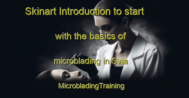 Skinart Introduction to start with the basics of microblading in Svia | MicrobladingTraining | MicrobladingClasses | SkinartTraining-Sweden