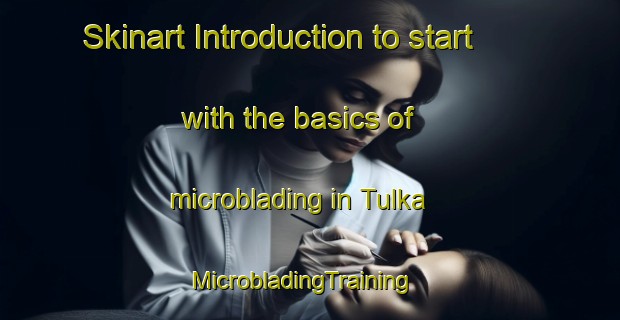 Skinart Introduction to start with the basics of microblading in Tulka | MicrobladingTraining | MicrobladingClasses | SkinartTraining-Sweden