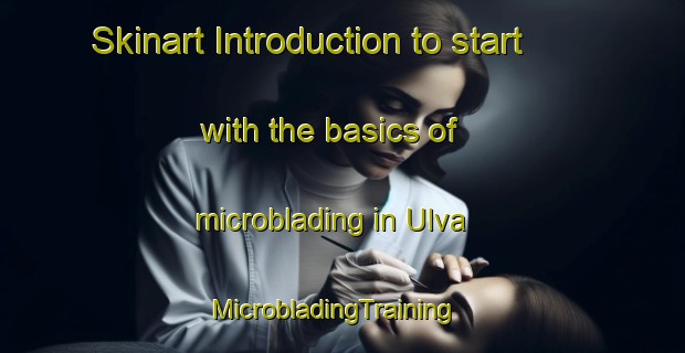 Skinart Introduction to start with the basics of microblading in Ulva | MicrobladingTraining | MicrobladingClasses | SkinartTraining-Sweden