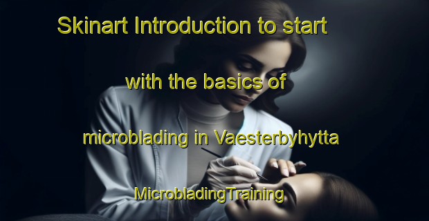 Skinart Introduction to start with the basics of microblading in Vaesterbyhytta | MicrobladingTraining | MicrobladingClasses | SkinartTraining-Sweden