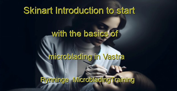 Skinart Introduction to start with the basics of microblading in Vastra Rynninge | MicrobladingTraining | MicrobladingClasses | SkinartTraining-Sweden