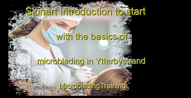 Skinart Introduction to start with the basics of microblading in Ytterbystrand | MicrobladingTraining | MicrobladingClasses | SkinartTraining-Sweden