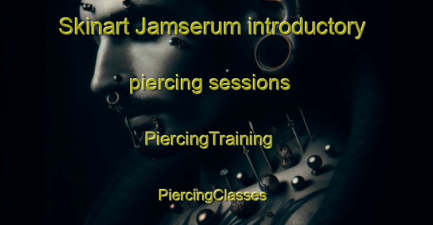 Skinart Jamserum introductory piercing sessions | PiercingTraining | PiercingClasses | SkinartTraining-Sweden