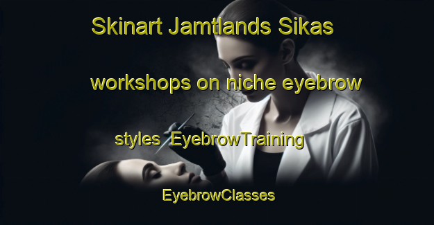 Skinart Jamtlands Sikas workshops on niche eyebrow styles | EyebrowTraining | EyebrowClasses | SkinartTraining-Sweden