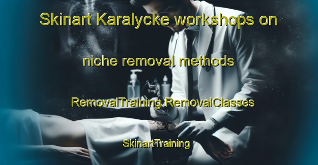 Skinart Karalycke workshops on niche removal methods | #RemovalTraining #RemovalClasses #SkinartTraining-Sweden