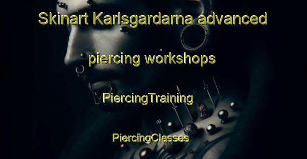 Skinart Karlsgardarna advanced piercing workshops | PiercingTraining | PiercingClasses | SkinartTraining-Sweden