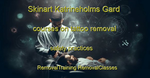 Skinart Katrineholms Gard courses on tattoo removal safety practices | #RemovalTraining #RemovalClasses #SkinartTraining-Sweden