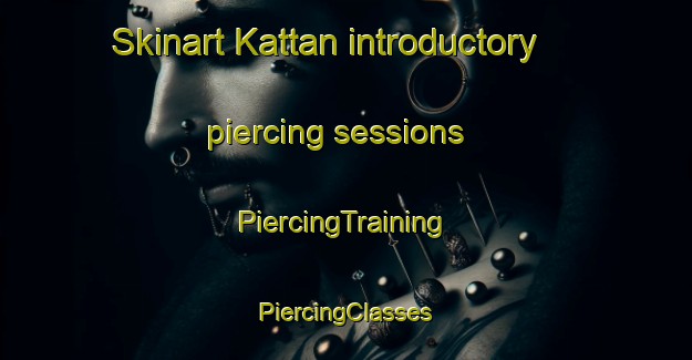 Skinart Kattan introductory piercing sessions | #PiercingTraining #PiercingClasses #SkinartTraining-Sweden