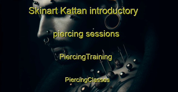 Skinart Kattan introductory piercing sessions | PiercingTraining | PiercingClasses | SkinartTraining-Sweden