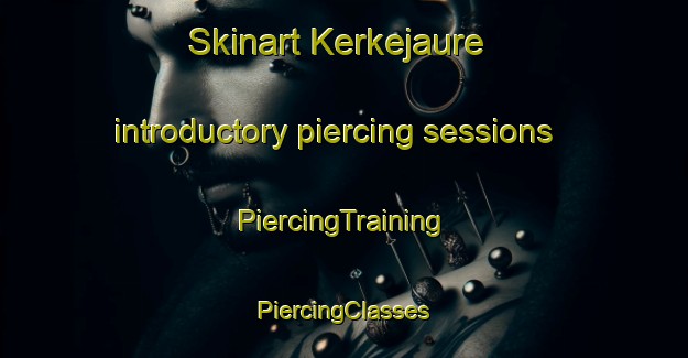 Skinart Kerkejaure introductory piercing sessions | #PiercingTraining #PiercingClasses #SkinartTraining-Sweden