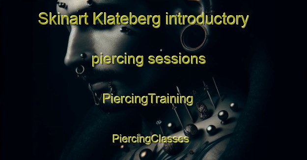 Skinart Klateberg introductory piercing sessions | PiercingTraining | PiercingClasses | SkinartTraining-Sweden