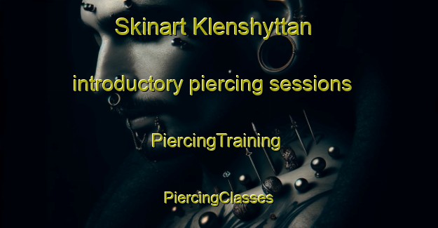 Skinart Klenshyttan introductory piercing sessions | #PiercingTraining #PiercingClasses #SkinartTraining-Sweden