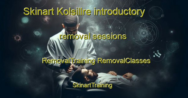 Skinart Kolsillre introductory removal sessions | #RemovalTraining #RemovalClasses #SkinartTraining-Sweden