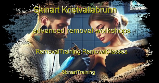 Skinart Kristvallabrunn advanced removal workshops | #RemovalTraining #RemovalClasses #SkinartTraining-Sweden