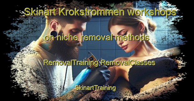 Skinart Krokstrommen workshops on niche removal methods | #RemovalTraining #RemovalClasses #SkinartTraining-Sweden