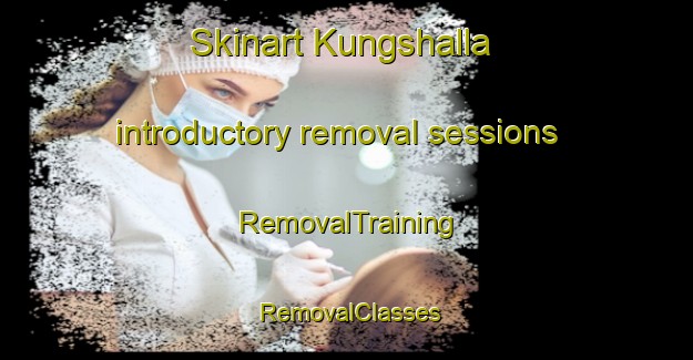 Skinart Kungshalla introductory removal sessions | RemovalTraining | RemovalClasses | SkinartTraining-Sweden