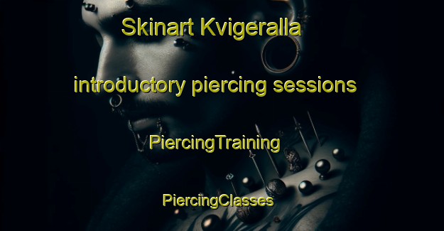 Skinart Kvigeralla introductory piercing sessions | PiercingTraining | PiercingClasses | SkinartTraining-Sweden