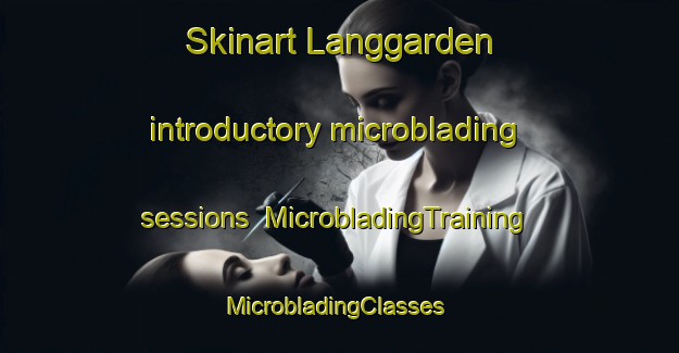 Skinart Langgarden introductory microblading sessions | MicrobladingTraining | MicrobladingClasses | SkinartTraining-Sweden
